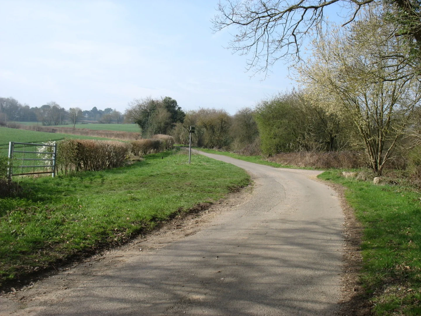 An image depicting the trail Coppice Hoop Loop and its surrounding area.