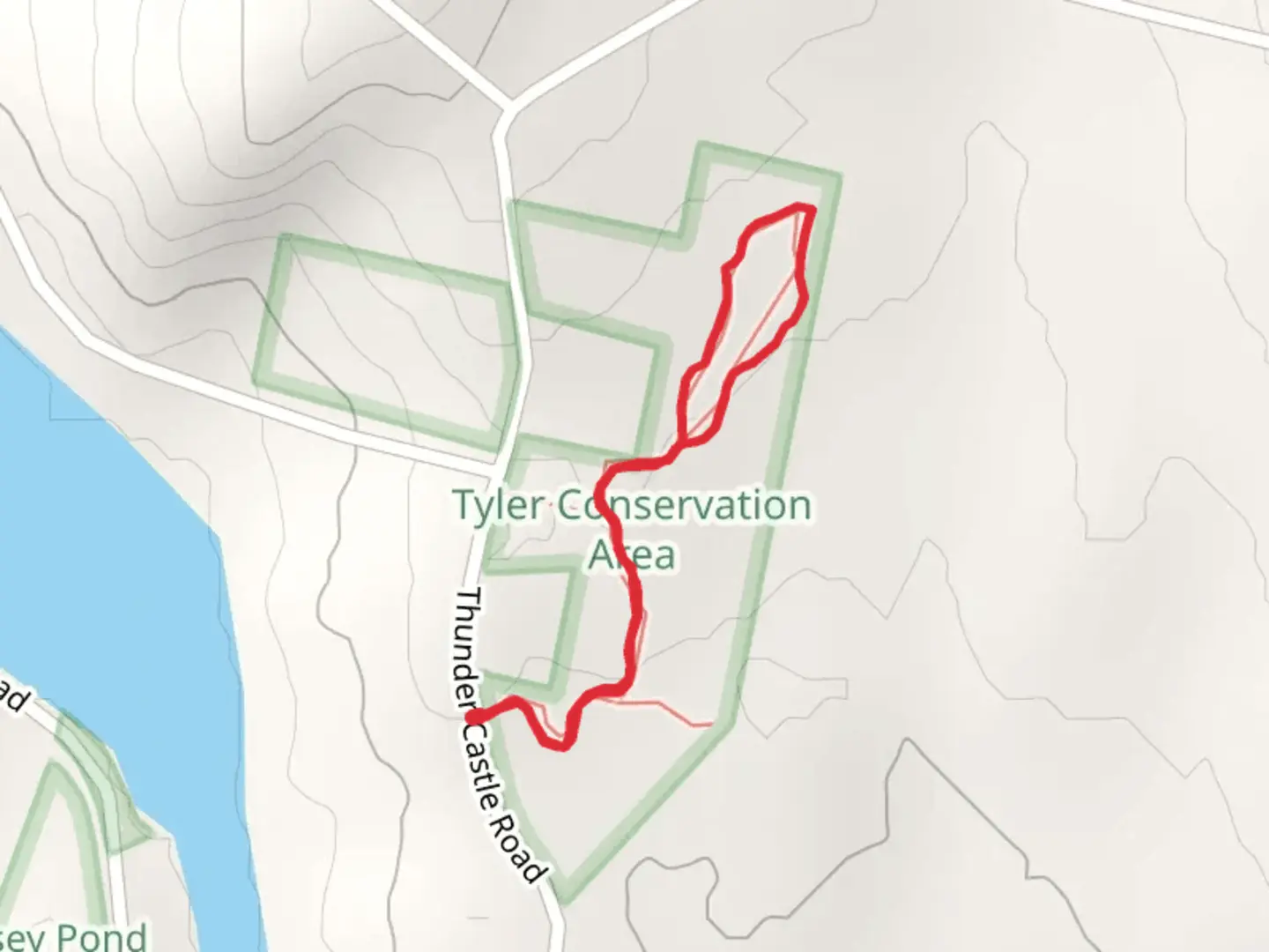 An image depicting the trail Thunder Castle Road Loop and its surrounding area.