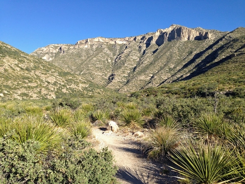 An image depicting the trail Permian Reef Trail and its surrounding area.
