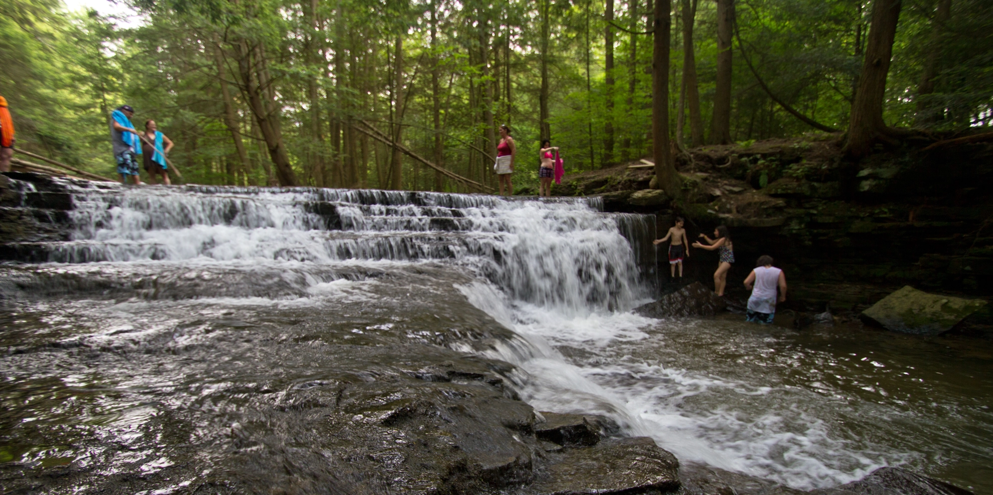 An image depicting the trail Fall Brook Loop Trail and its surrounding area.