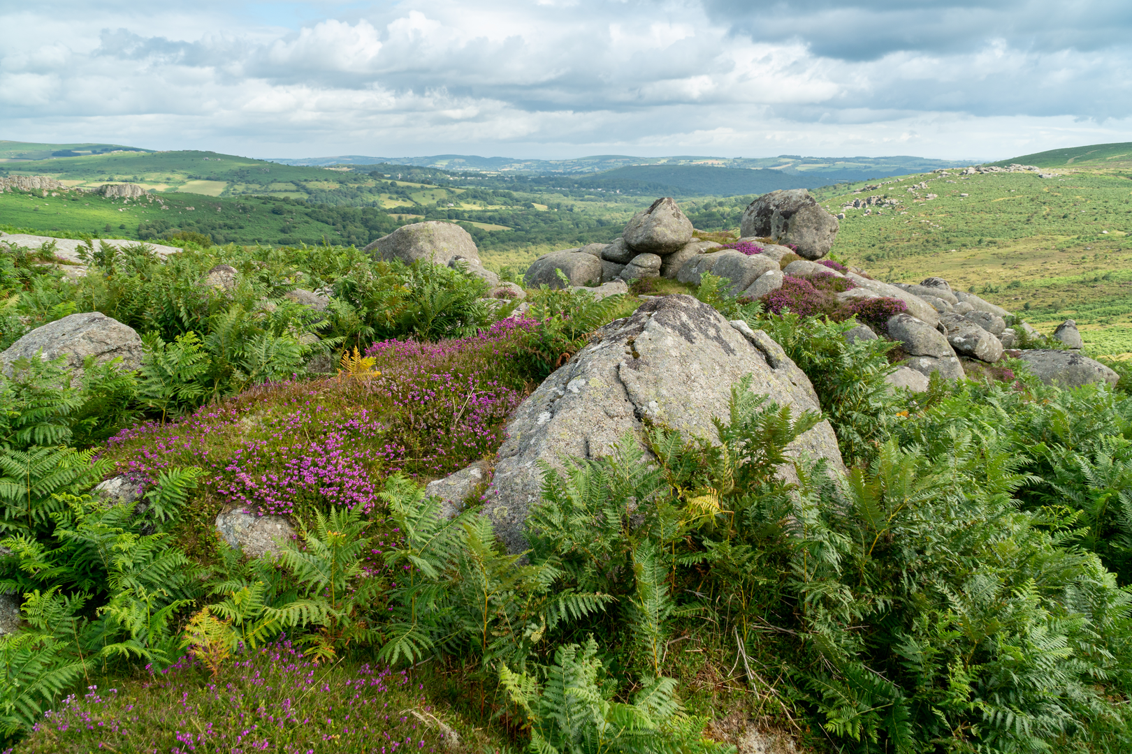 An image depicting the trail Haytor Quarry Route and its surrounding area.