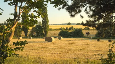 An image depicting the trail Hertfordshire Way and its surrounding area.