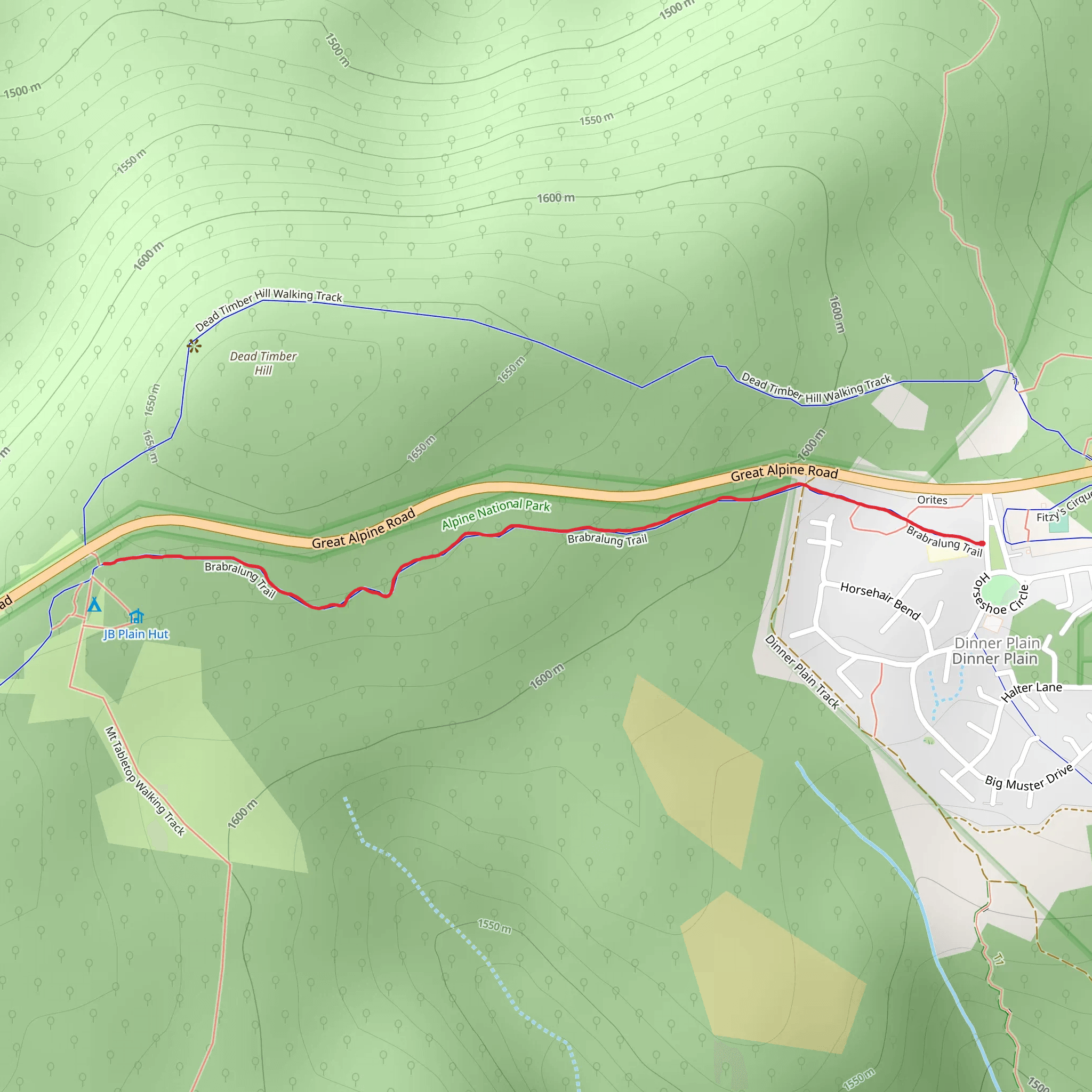 JB Plain Walk mobile static map