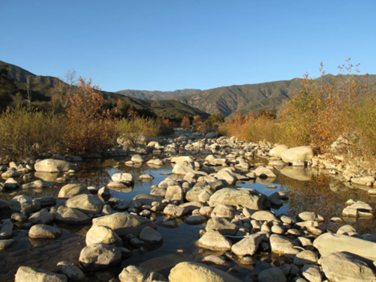 Ventura River - Upper River Loop Trail