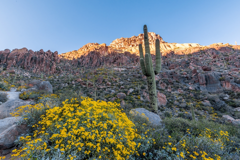 An image depicting the trail Terrapin Trail via Bluff Spring Trail and its surrounding area.