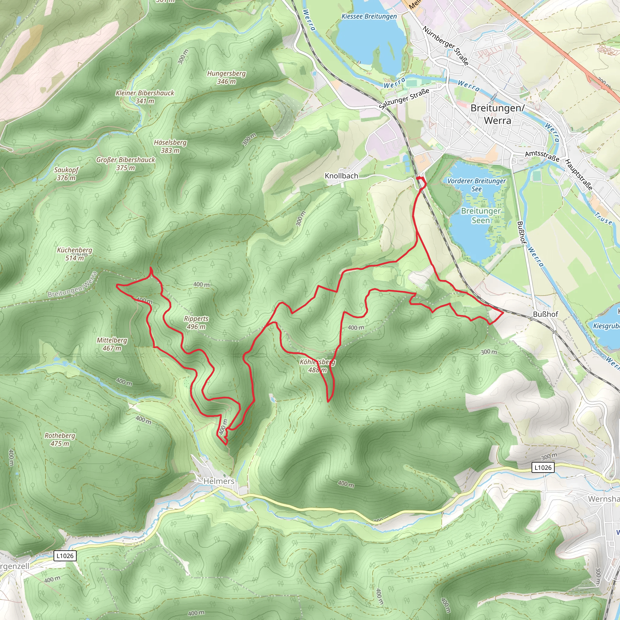 Vogelherdsfichte and Burgruine Frankenberg Loop mobile static map