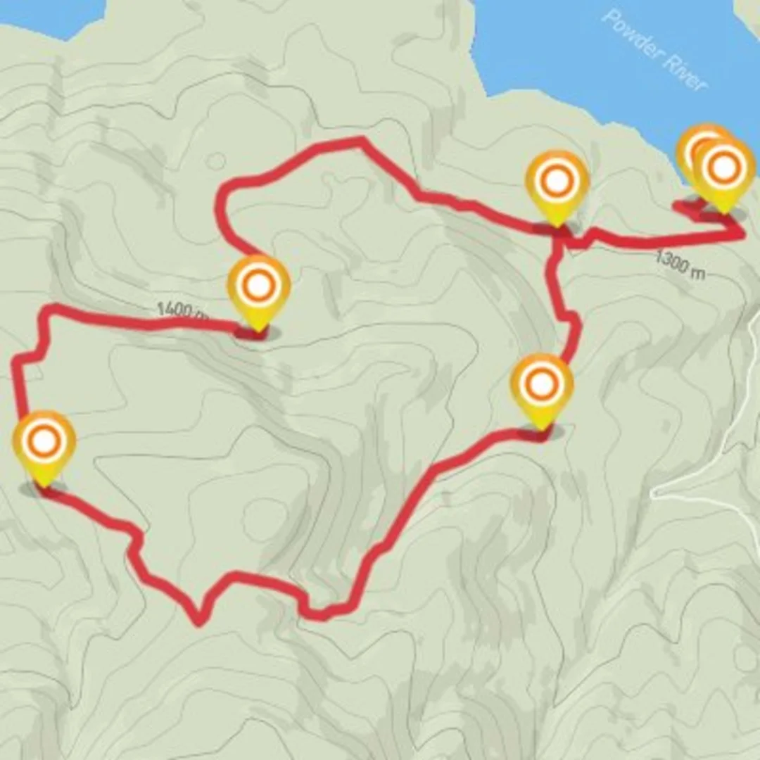 An image depicting the trail Phillps Loop #4 and its surrounding area.