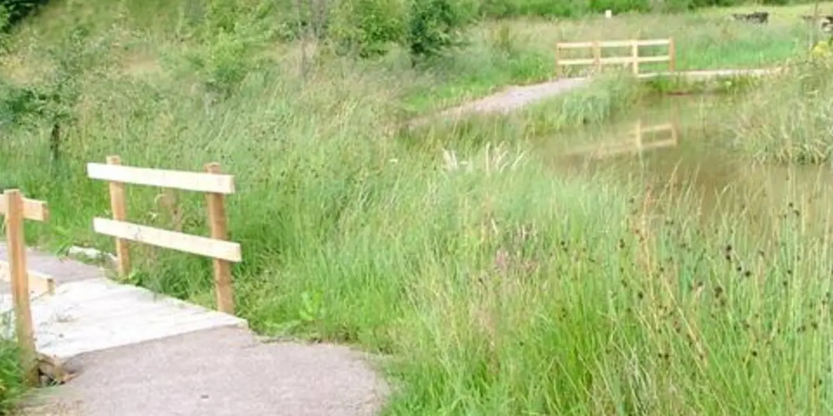 Glenmulliach Forest near Tomintoul