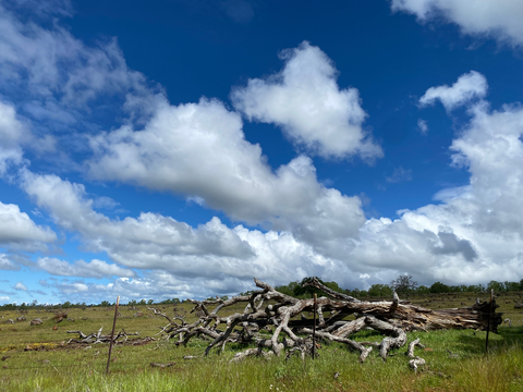 Big Chico Creek Loop - Peterson Memorial Way
