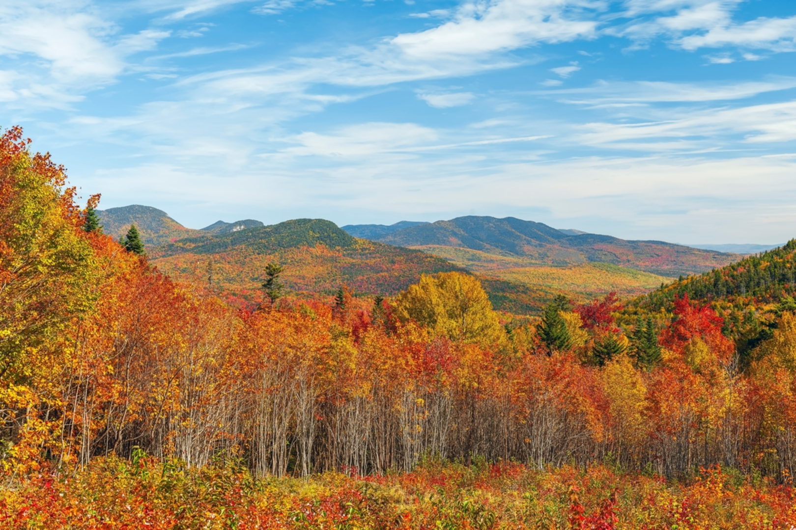 An image depicting the trail Mt Osceola and East Peak Trail and its surrounding area.