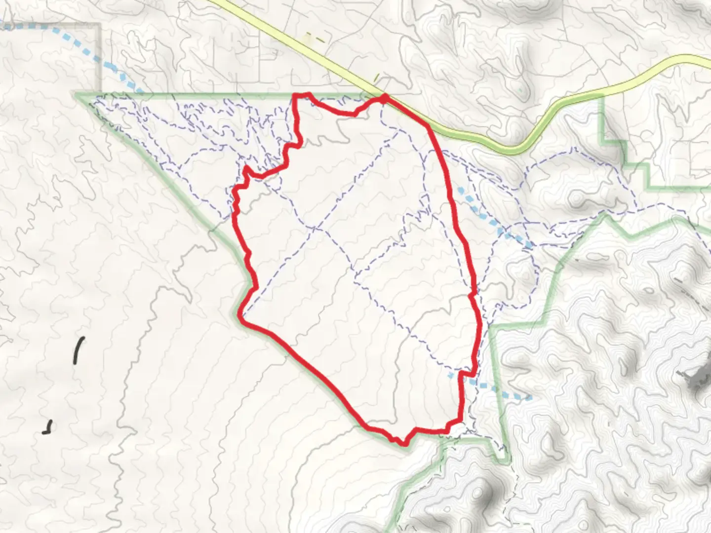 An image depicting the trail Forest Loop Road 445 and its surrounding area.