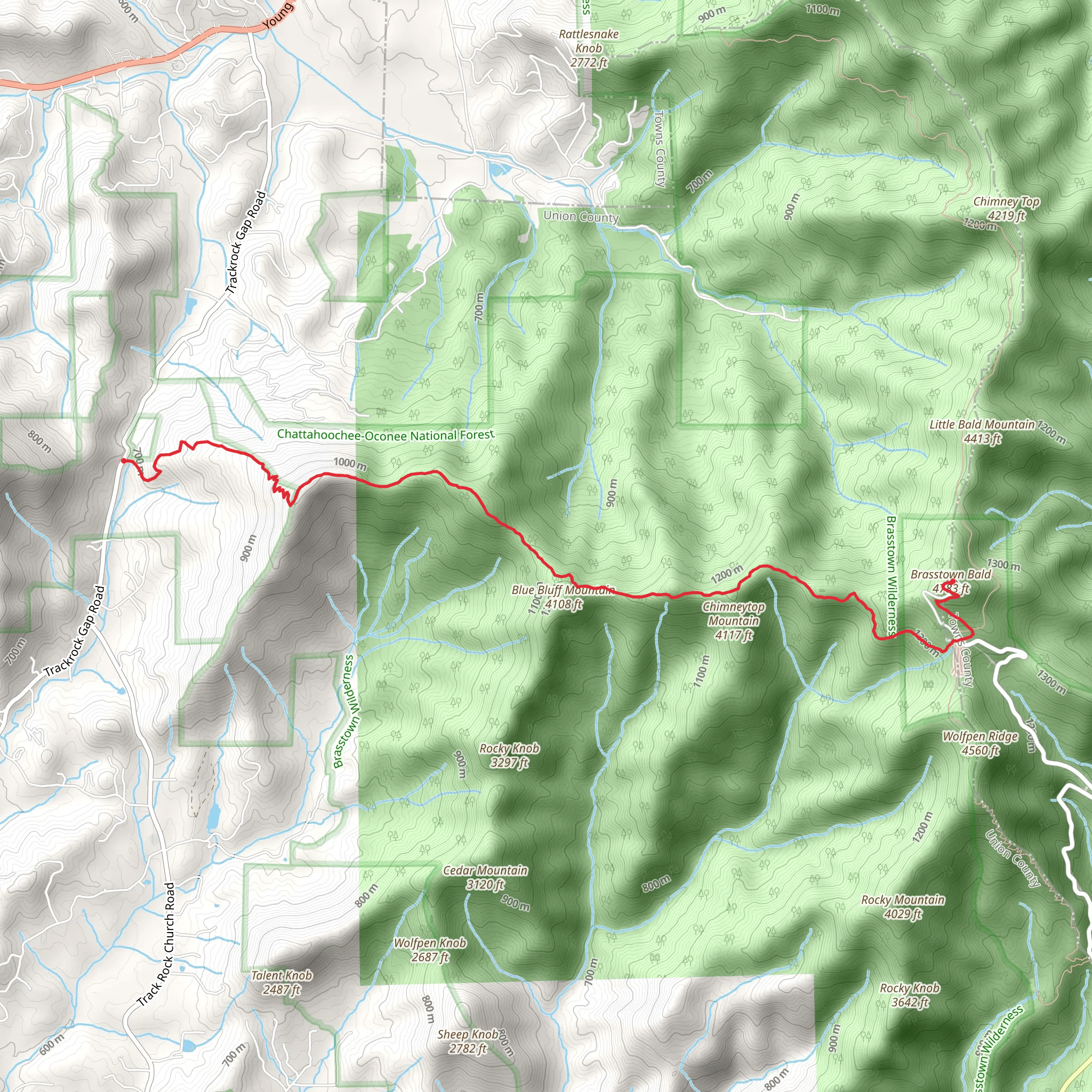 Brasstown Bald via Arkaquah Trail mobile static map