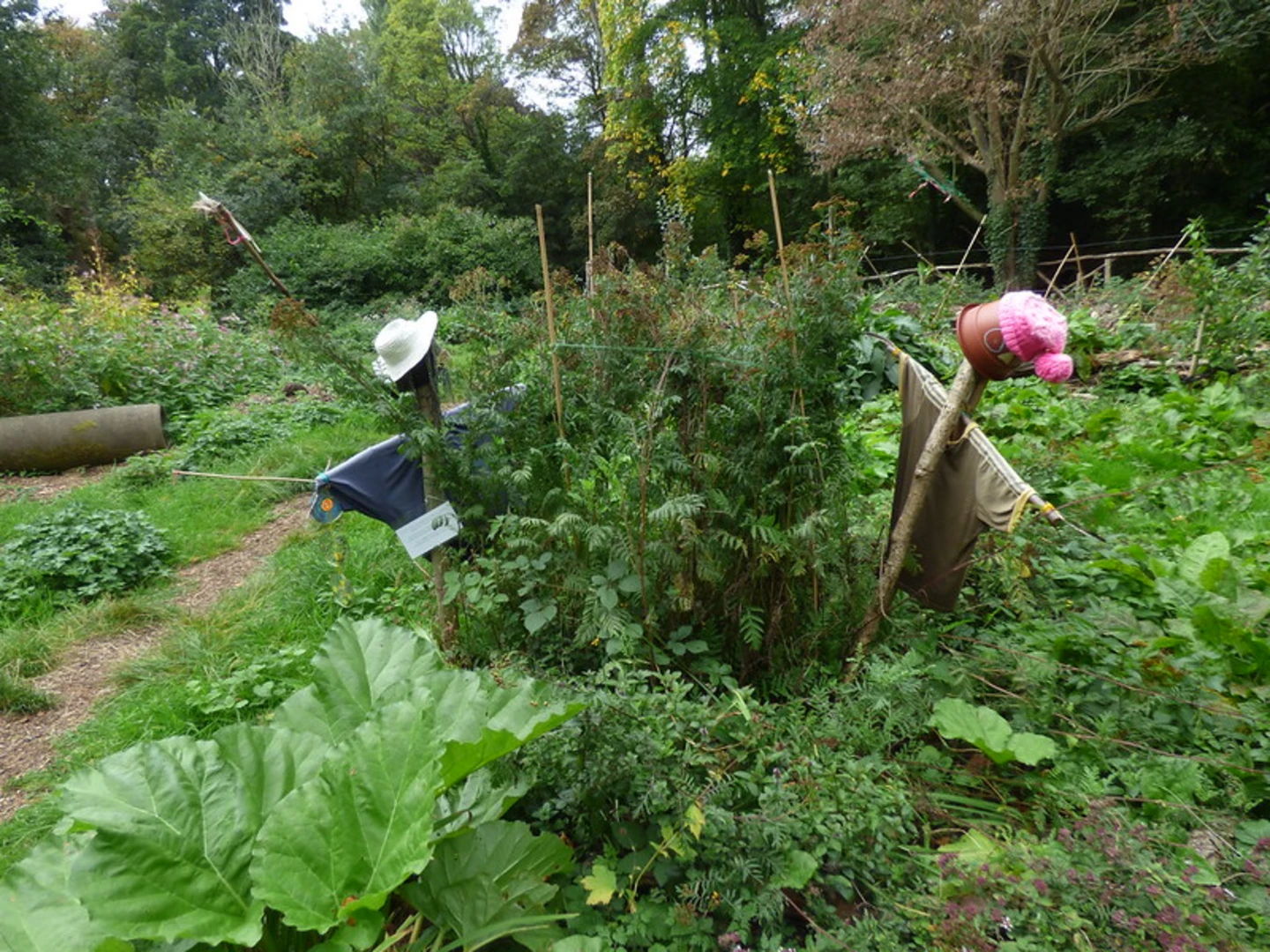 An image depicting the trail Chamberlain Gardens Loop and its surrounding area.