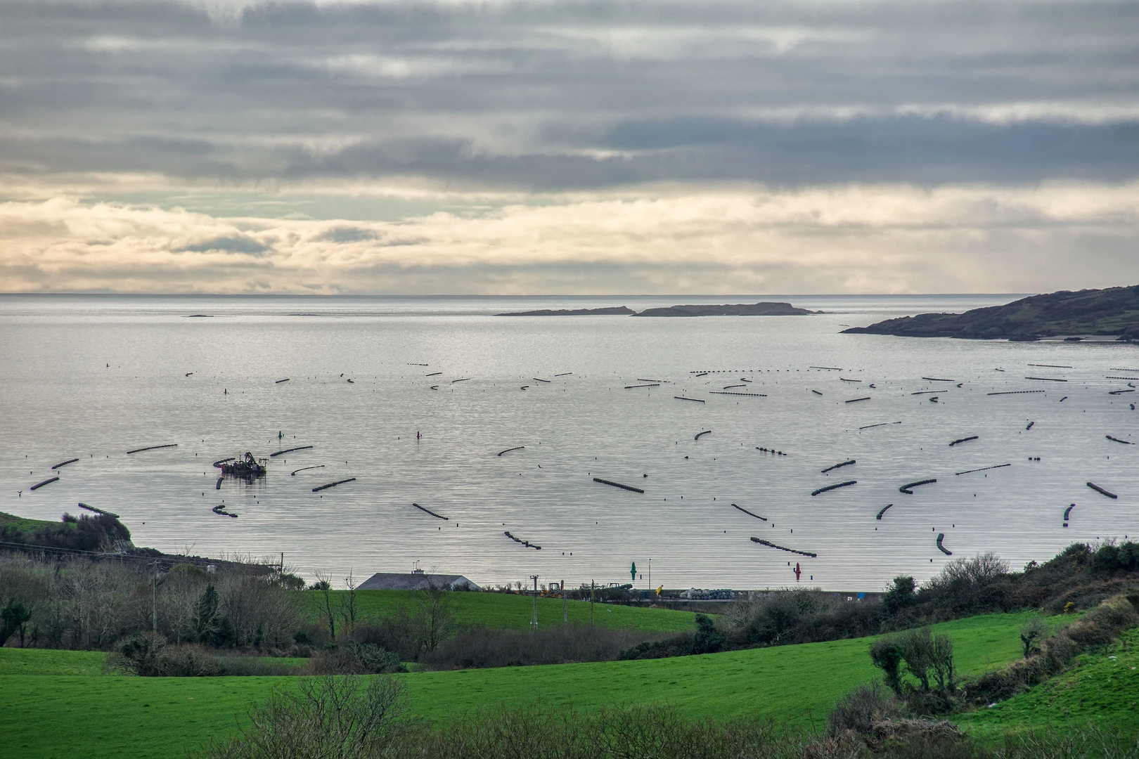 An image depicting the trail Fastnet Trails - Bechers Walk and its surrounding area.