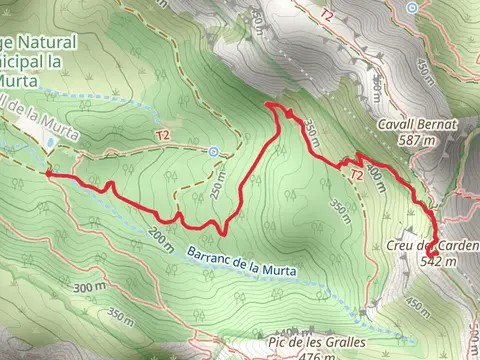 Cardinal's Creu PR CV 334