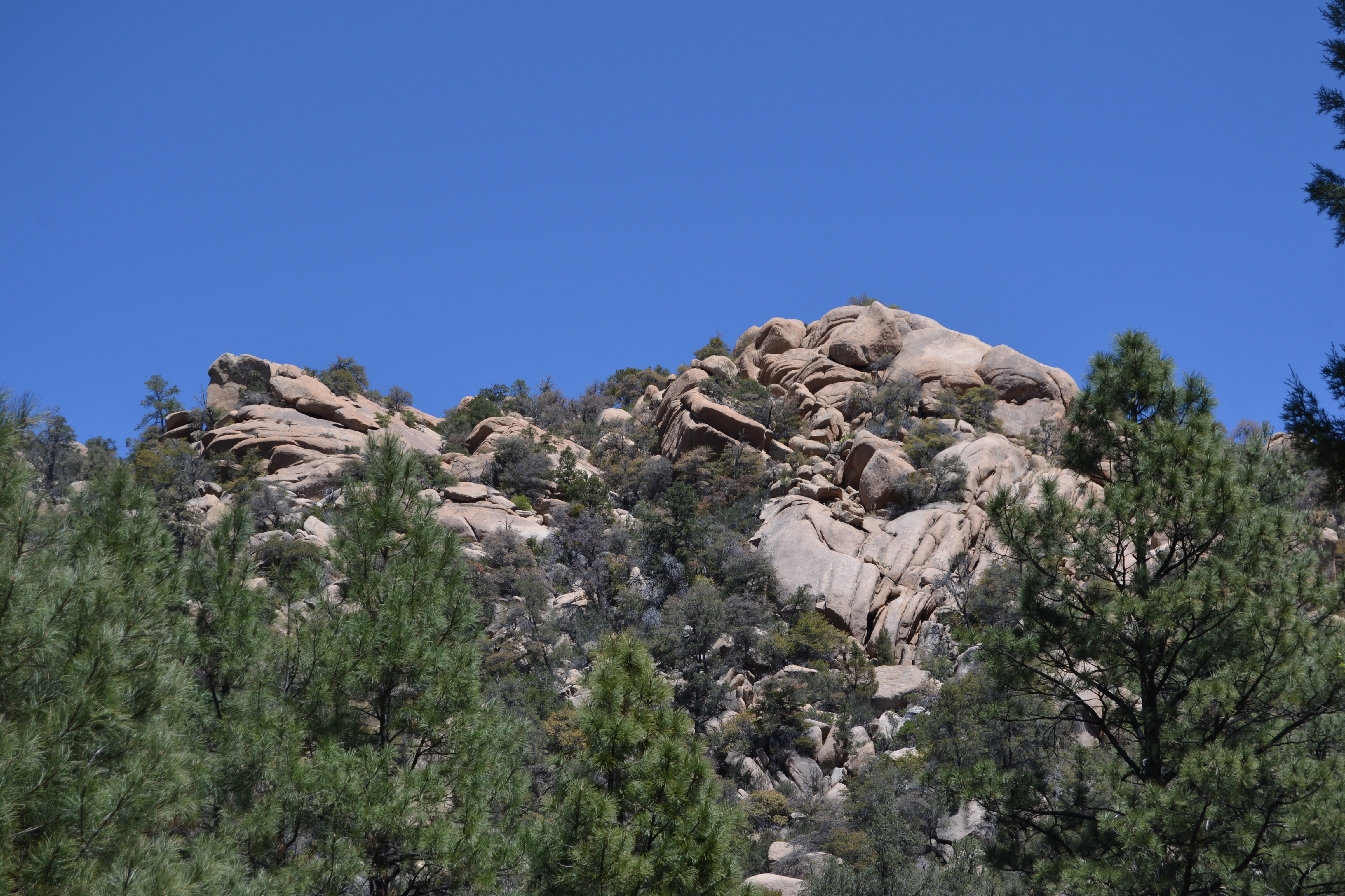 An image depicting the trail Prescott National Forest and its surrounding area.