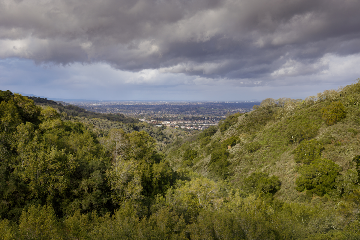 Hidalgo Cemetery Trail via Wood Road