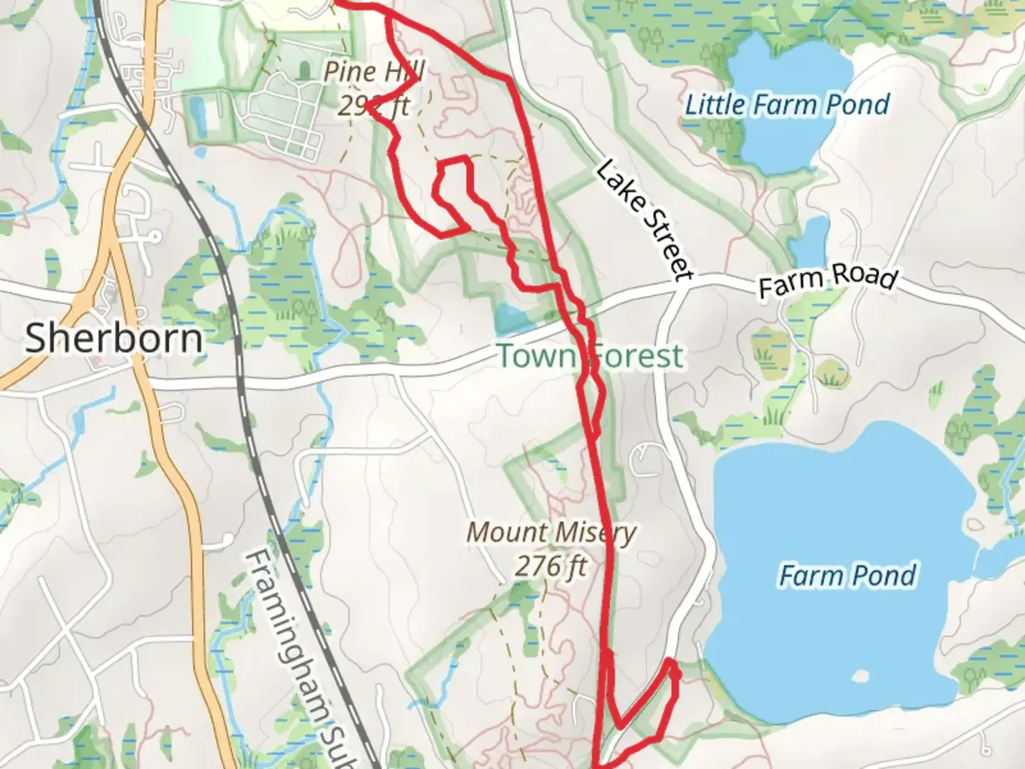 An image depicting the trail Pine Hill Loop via White Trail and Bay Circuit and its surrounding area.