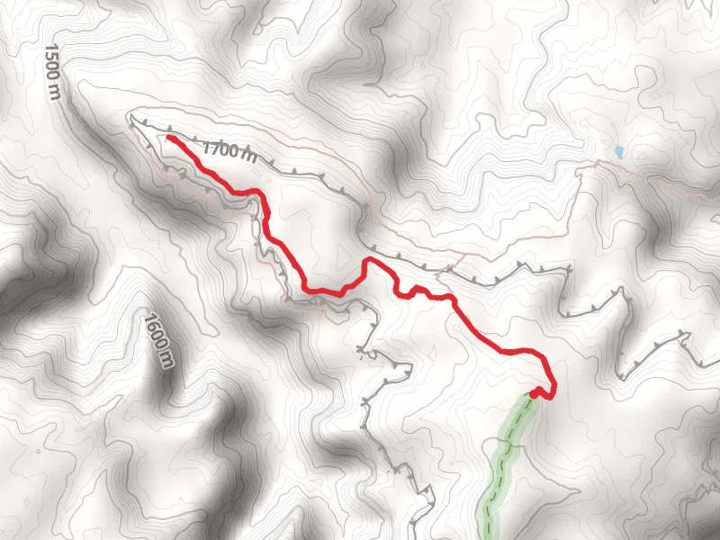 Cedar Tree Arch via Rattlesnake Arches Trail Center