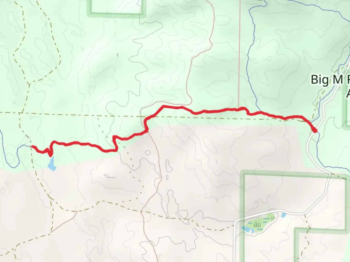 An image depicting the trail Big M - Sky Pilot Trail and its surrounding area.