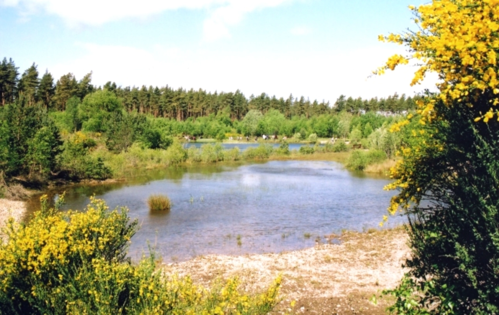 An image depicting the trail The Great Gravel Pit Pond to Wyndhams Pool Loop and its surrounding area.