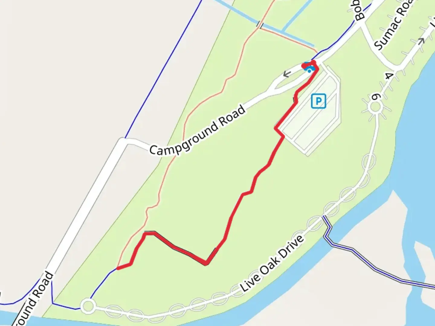 An image depicting the trail Sawgrass Short Trail and its surrounding area.