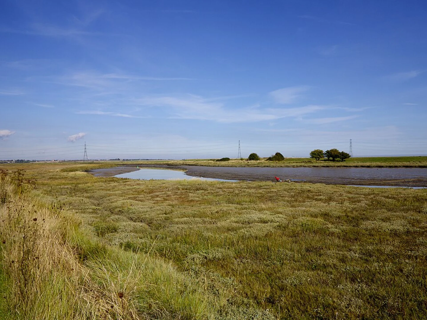 An image depicting the trail Whitstable to Faversham Walk and its surrounding area.