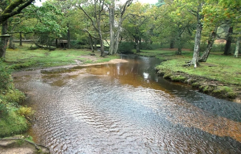 An image depicting the trail Ober Water Loop and its surrounding area.