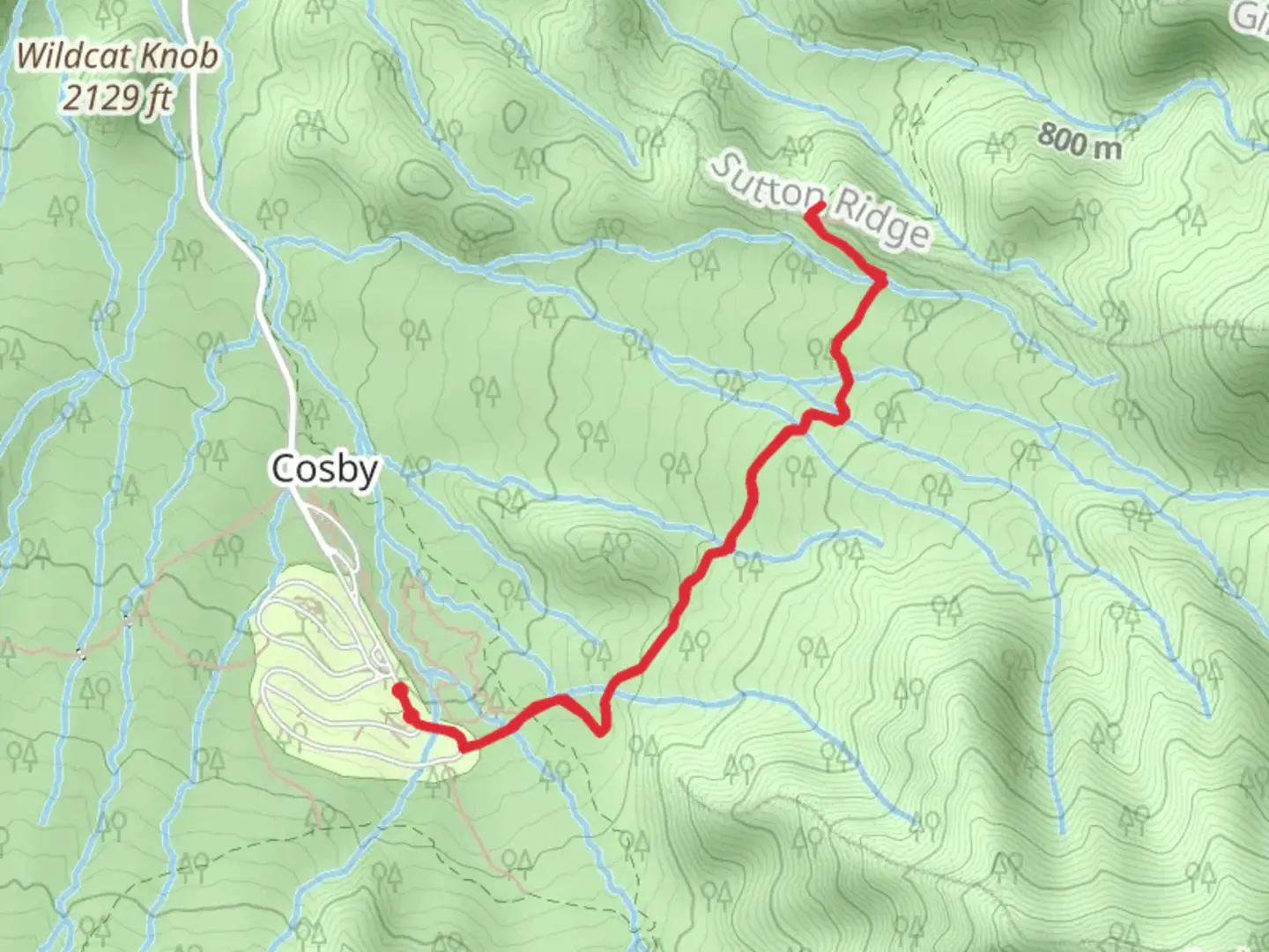 An image depicting the trail Lower Mount Cammerer Trail - Short and its surrounding area.