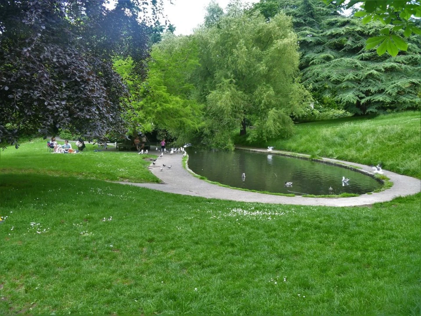 An image depicting the trail West of Bath Circular and its surrounding area.