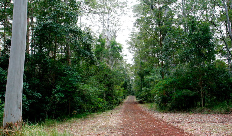 An image depicting the trail Richmond Range National Park and its surrounding area.