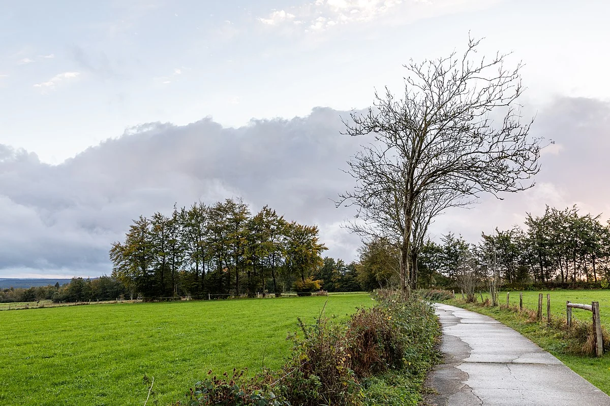 Eifelblick Mutzenich Steling and Kaiser Karls Bettstatt Loop via In den Stecken