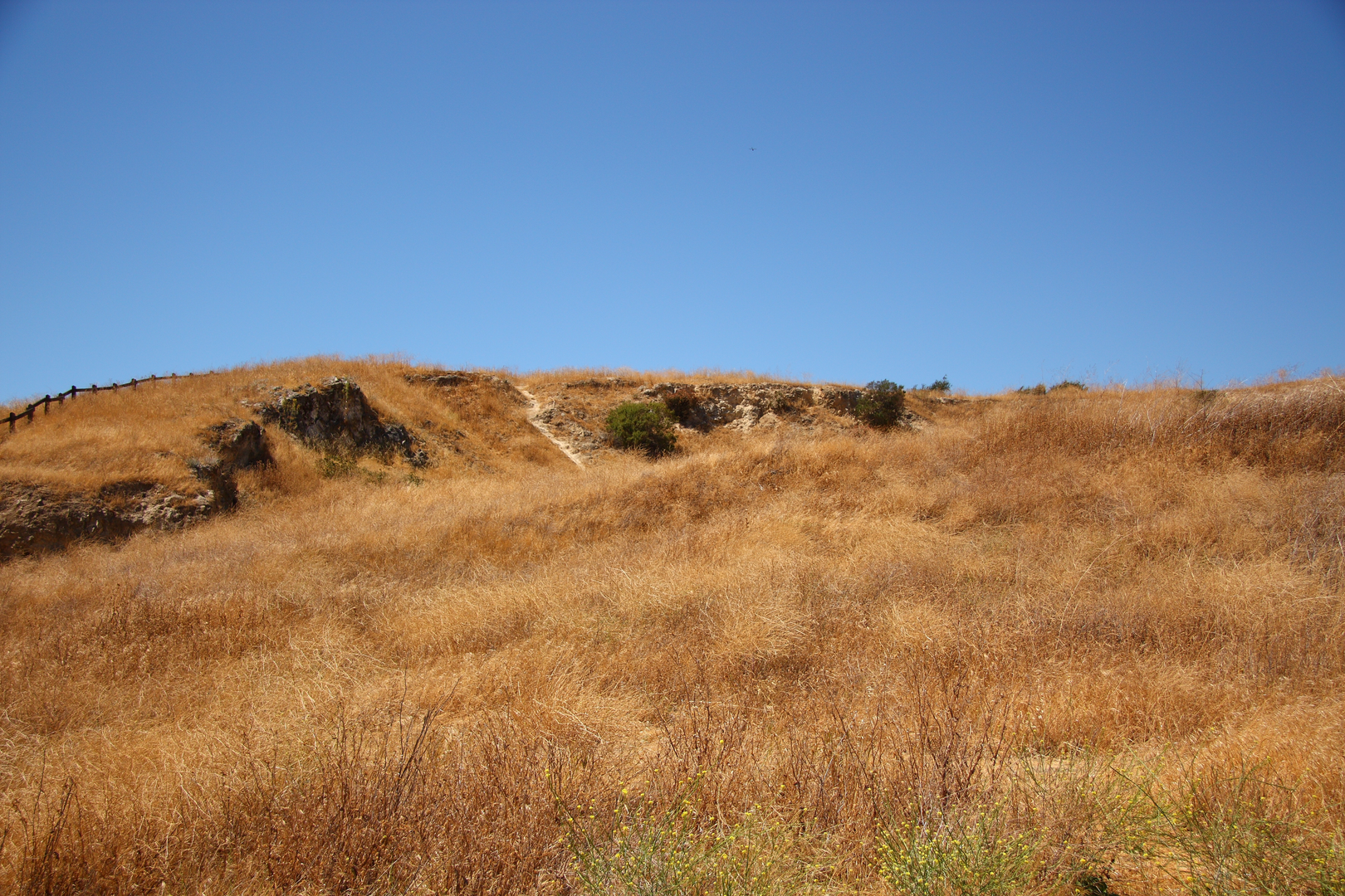 An image depicting the trail Paradise Valley and Ohlone Loop Trail and its surrounding area.