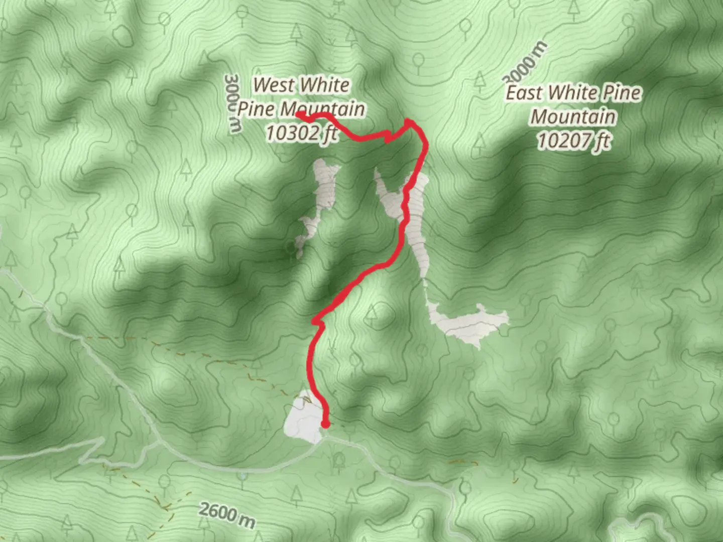 An image depicting the trail West White Pine Mountain and its surrounding area.