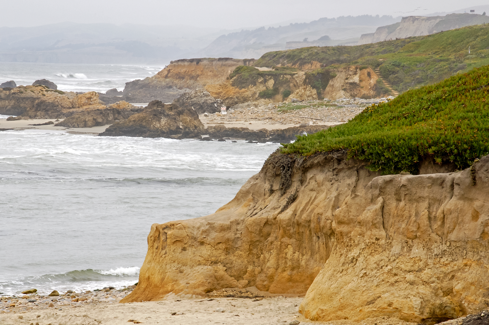 An image depicting the trail Liddell Creek Loop and its surrounding area.