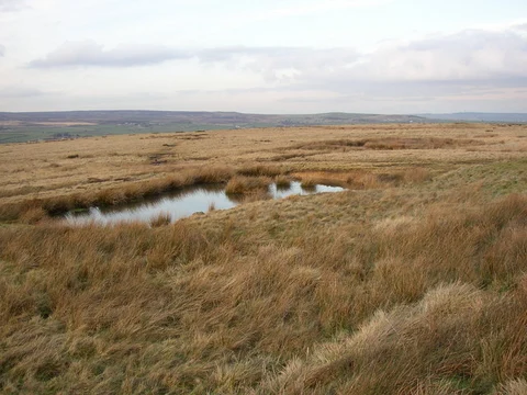 An image depicting the trail Baildon Moor Loop and its surrounding area.