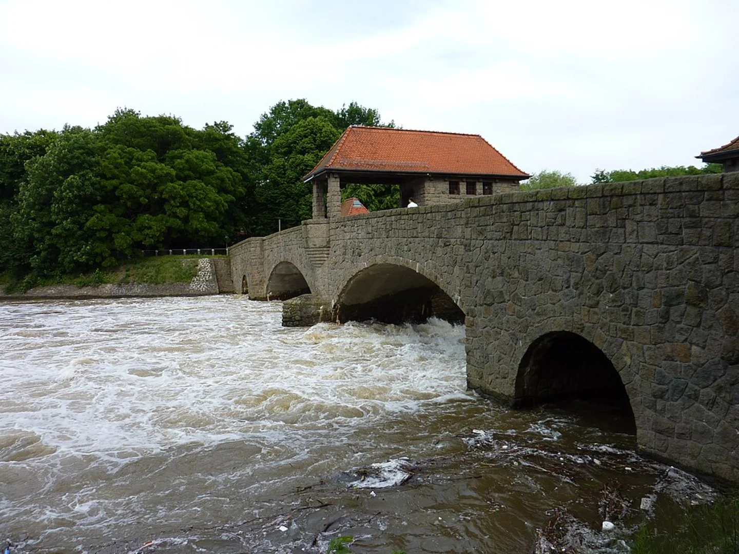 An image depicting the trail Lindenau and Bühl Loop and its surrounding area.