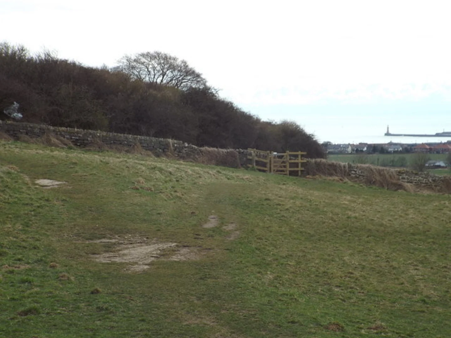 An image depicting the trail Cleadon Hills Loop and its surrounding area.