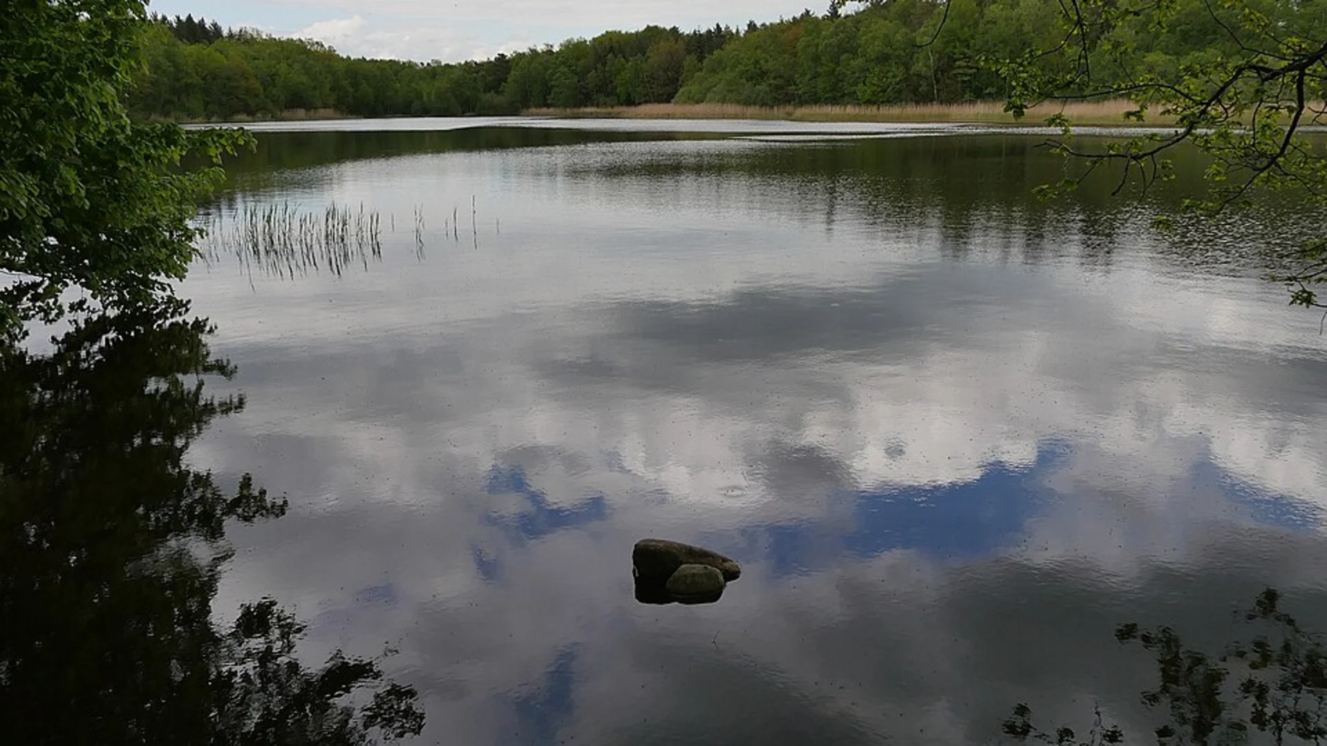 An image depicting the trail Bredenbeker Teich and Golclub Hamburg Ahrensburg Loop and its surrounding area.