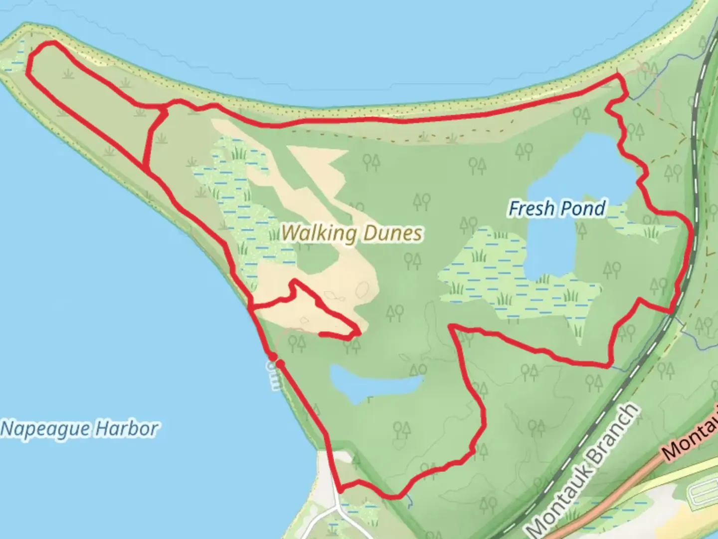 An image depicting the trail Beach walk and Walking Dunes Trail and its surrounding area.