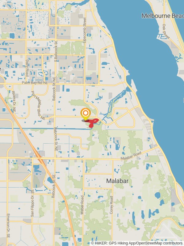 Sand Pine Ridge and Hammock Loop Trail