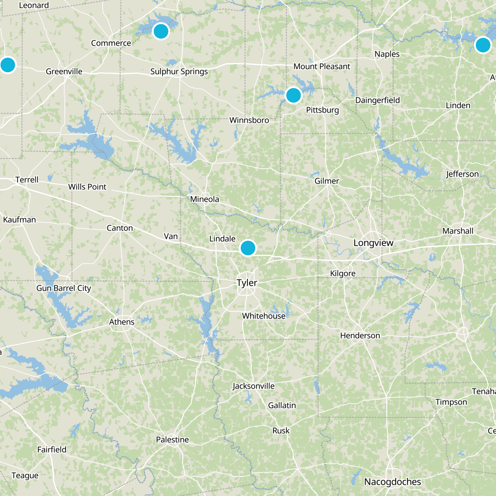 Smith County Static Map