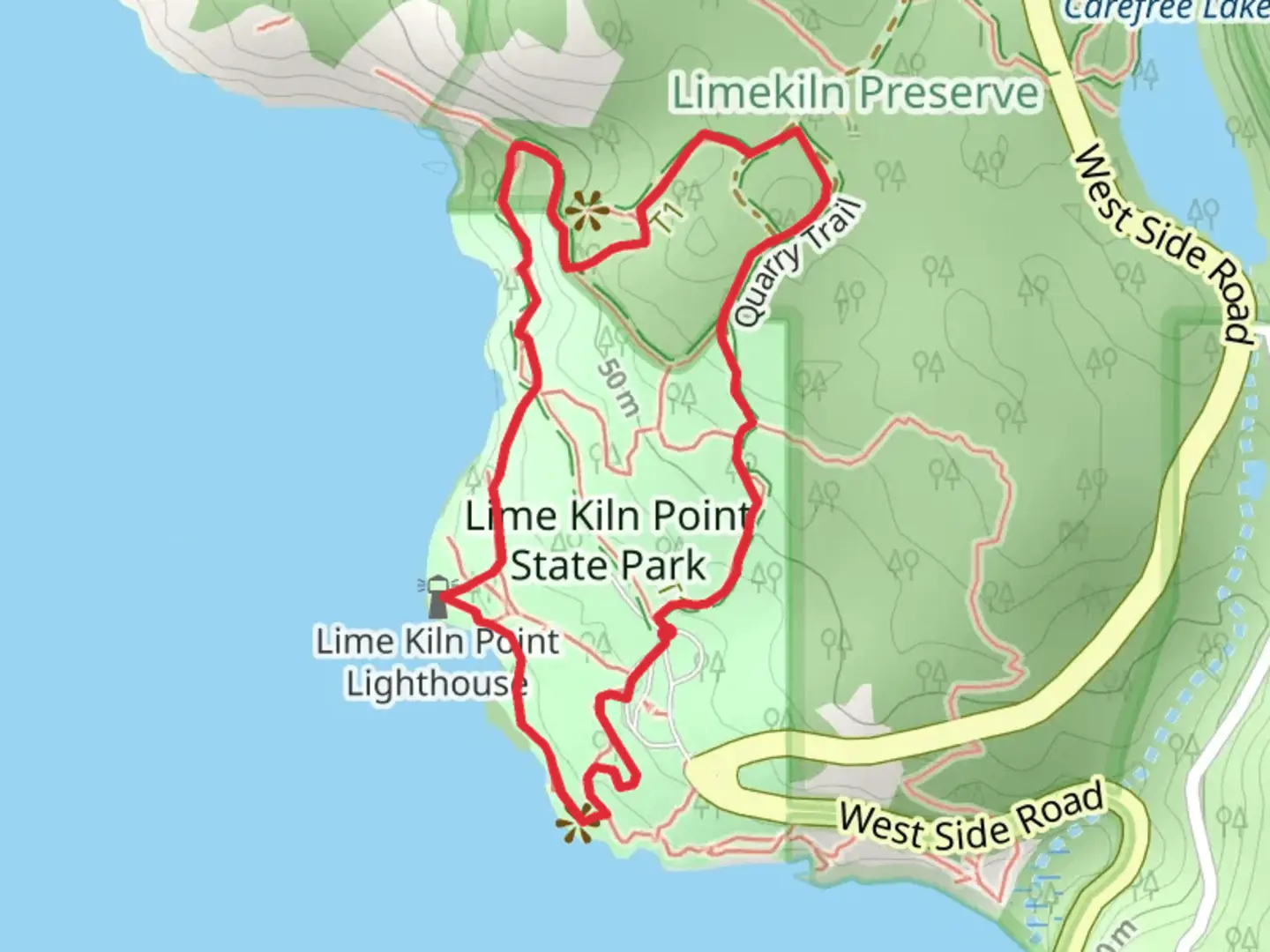 An image depicting the trail Lime Kiln Point State Park Loop and its surrounding area.