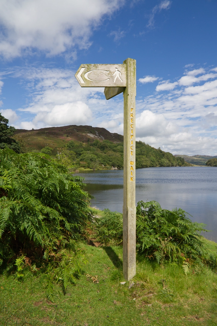 An image depicting the trail Precipice Walk - Dolgellau and its surrounding area.