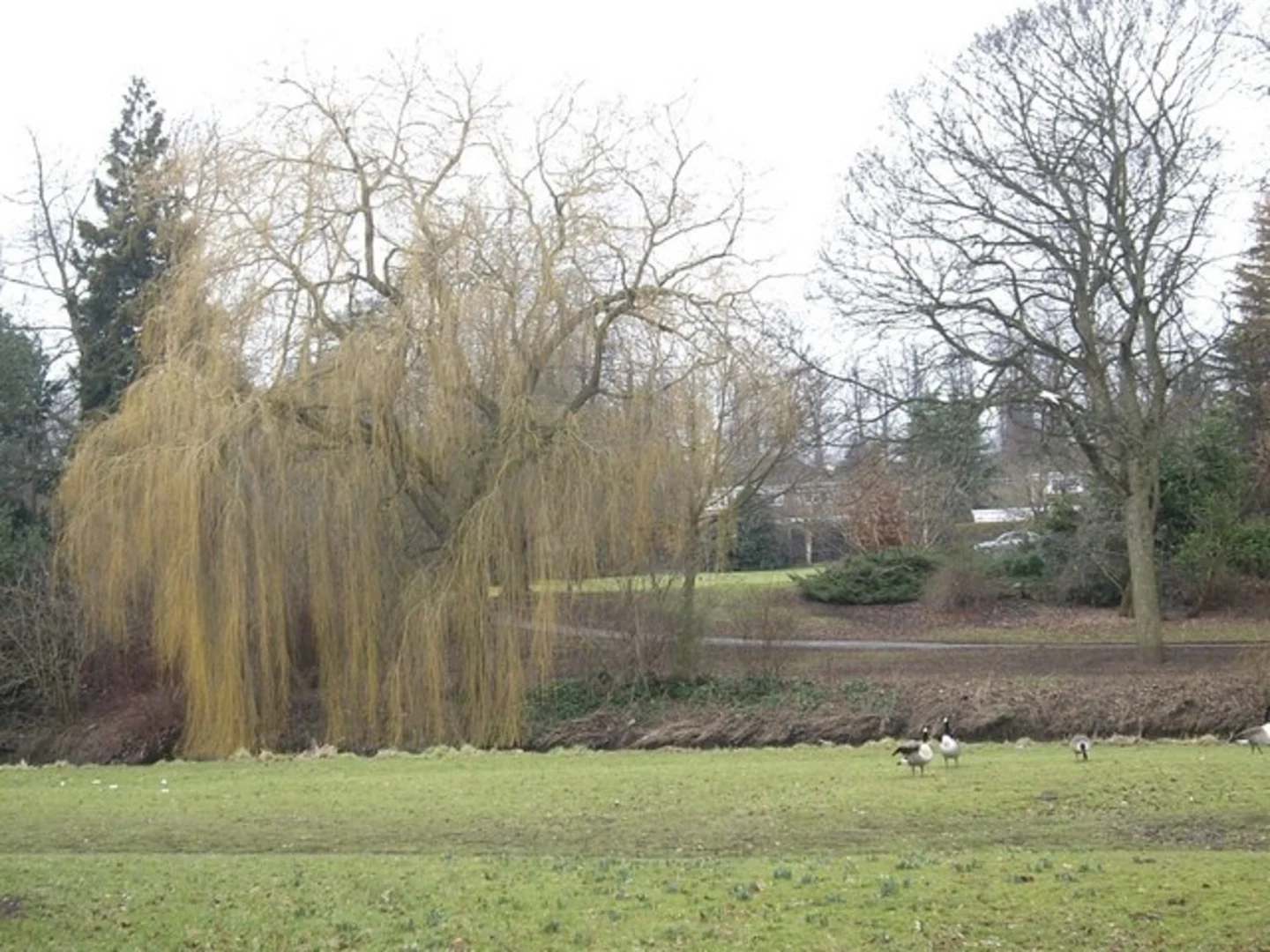 An image depicting the trail South Park Loop and its surrounding area.