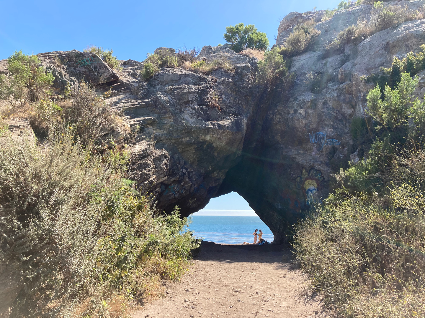 An image depicting the trail Prirates Cove - Coastal Trail and its surrounding area.