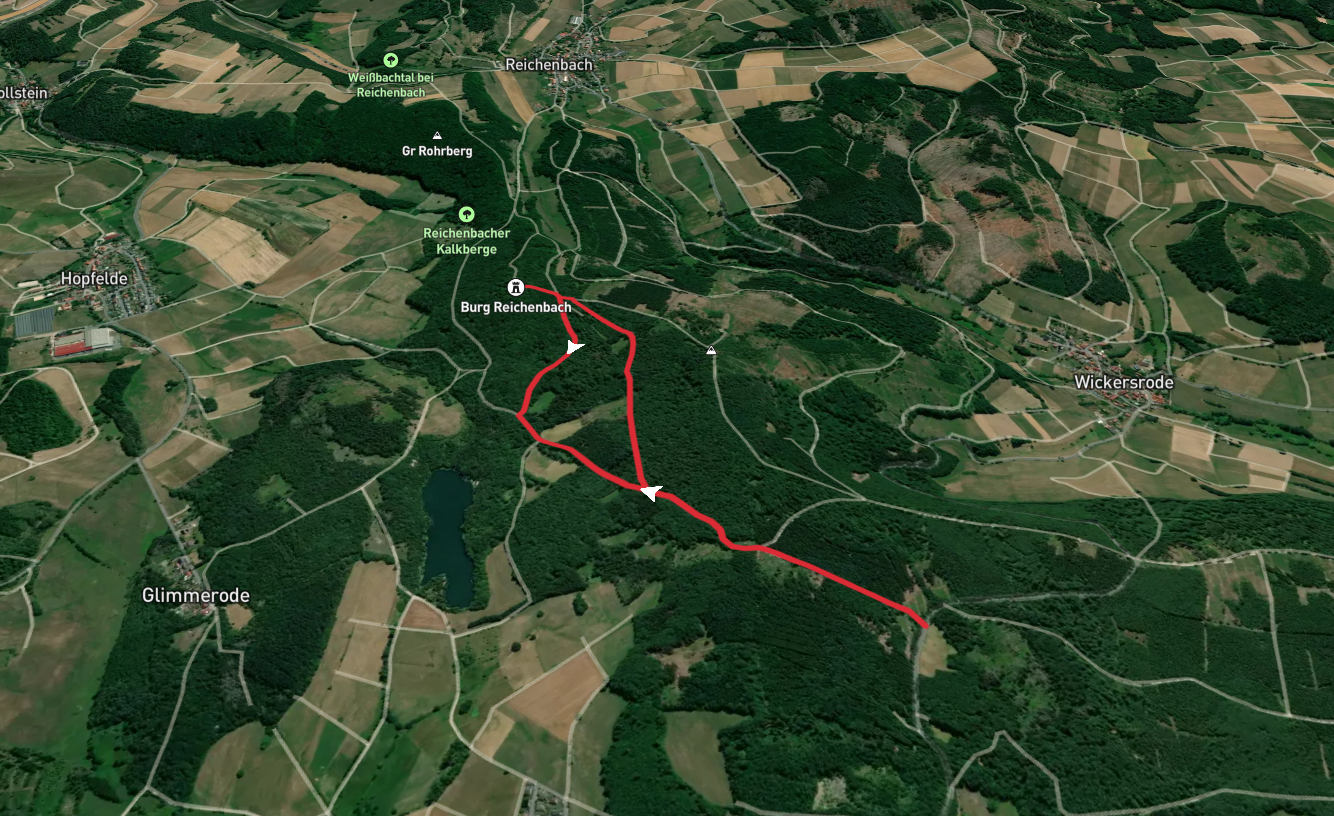 Ruine Reichenbach Loop