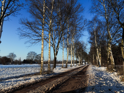 Valkenswaard and Peetersven Loop