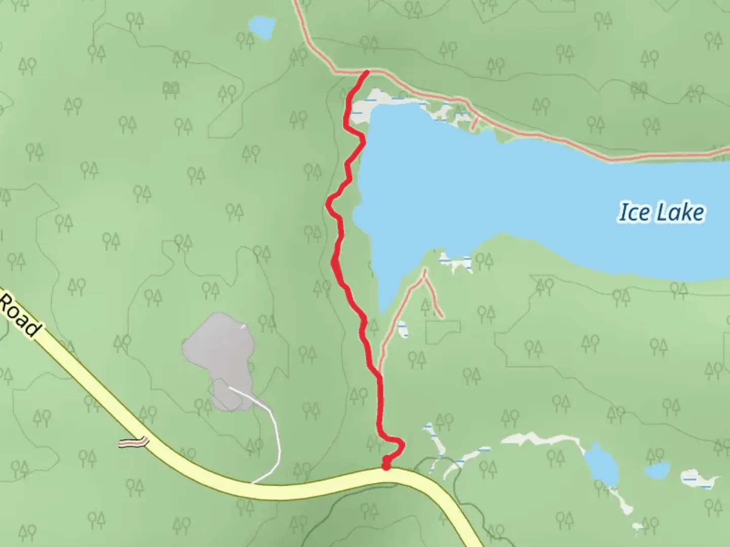 An image depicting the trail Ice Lake Trail and its surrounding area.