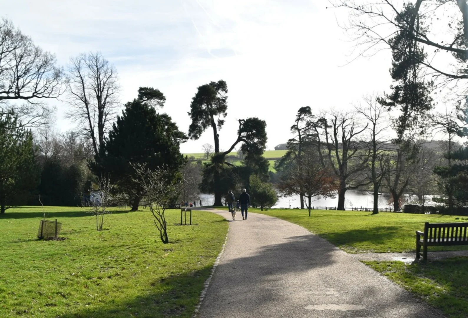 An image depicting the trail Dunorlan Park and Lake Loop and its surrounding area.